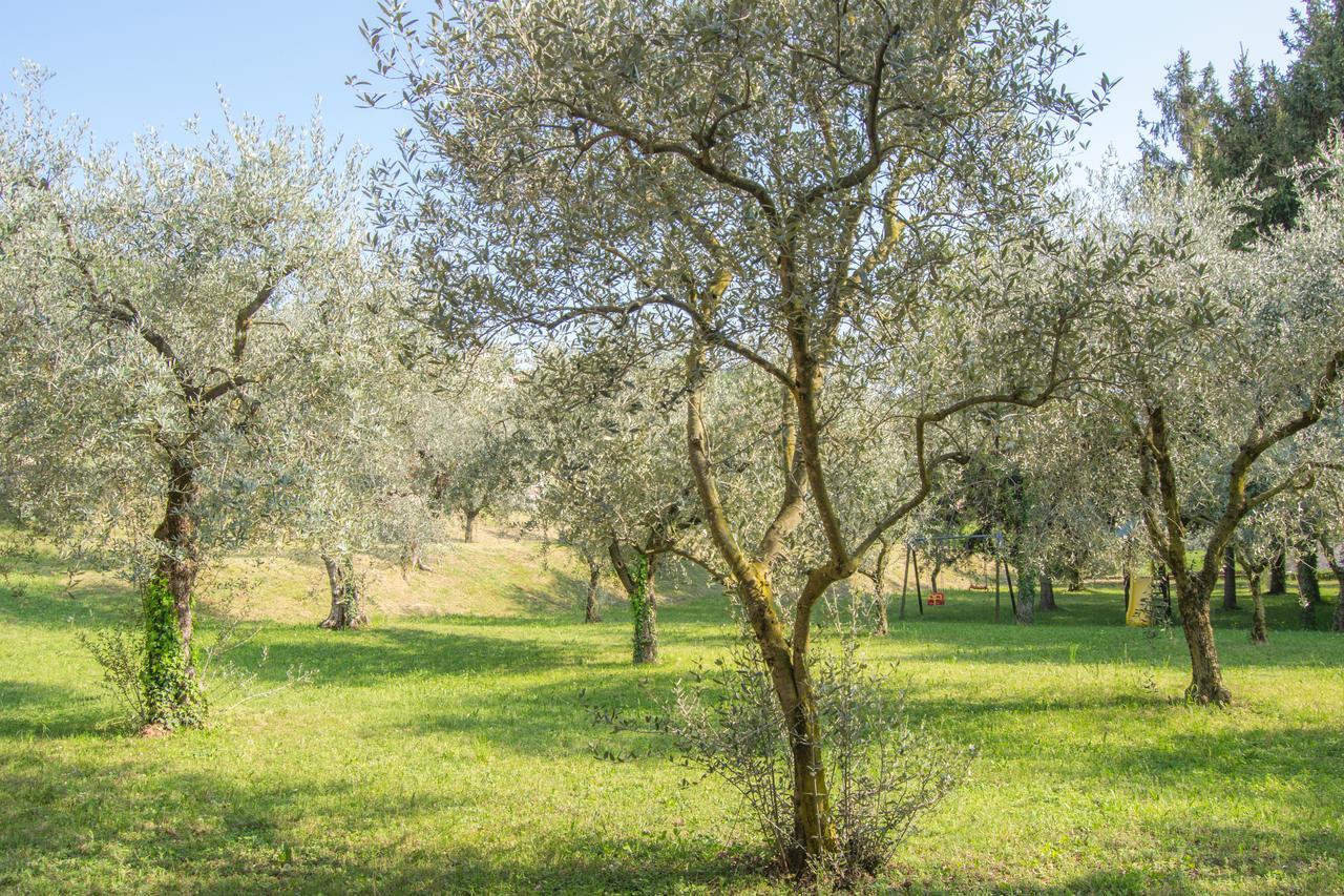 Residence Liana Albisano Torri Del Benaco Dış mekan fotoğraf